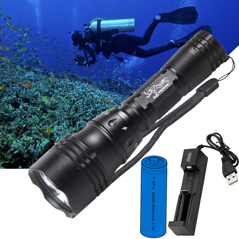 Fish Finder Charger - Diving Lamp Portable 10W T6 L2
